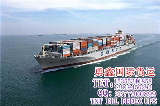 國(guó)際快遞電話 義烏至墨西哥國(guó)際快遞 勇鑫國(guó)際貨運(yùn)領(lǐng)軍者